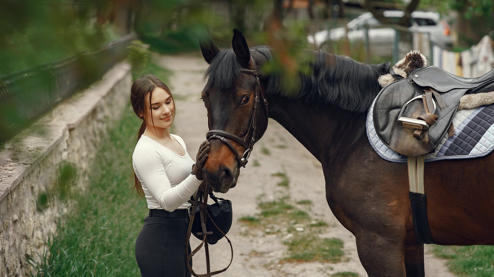 Equestrian Experience